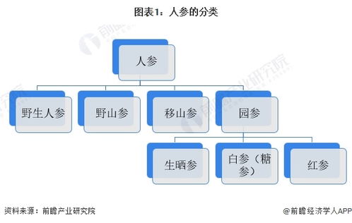 預(yù)見2024 中國(guó)人工智能基礎(chǔ)軟件開發(fā)賦能下的人參行業(yè)全景圖譜